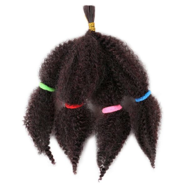 Marley Kinky Curly Bulk Hair